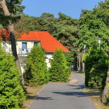 3 Bedroom Awesome In Apartment
